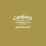 Caraluzzi And Associates, LLC