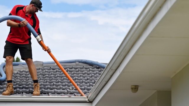Residential Roof Cleaning George