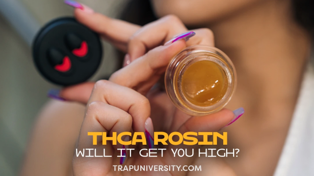 Trap University